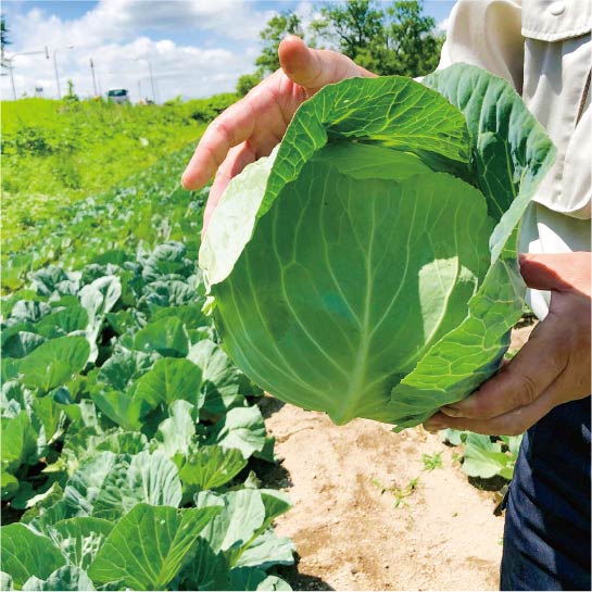 雨のおかげで一気に丸まりました